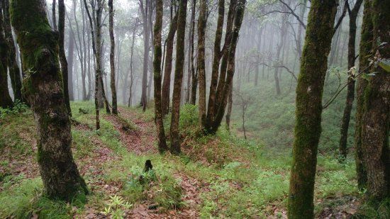 Chail Wildlife Sanctuary